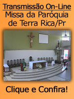 Transmissão ao Vivo.